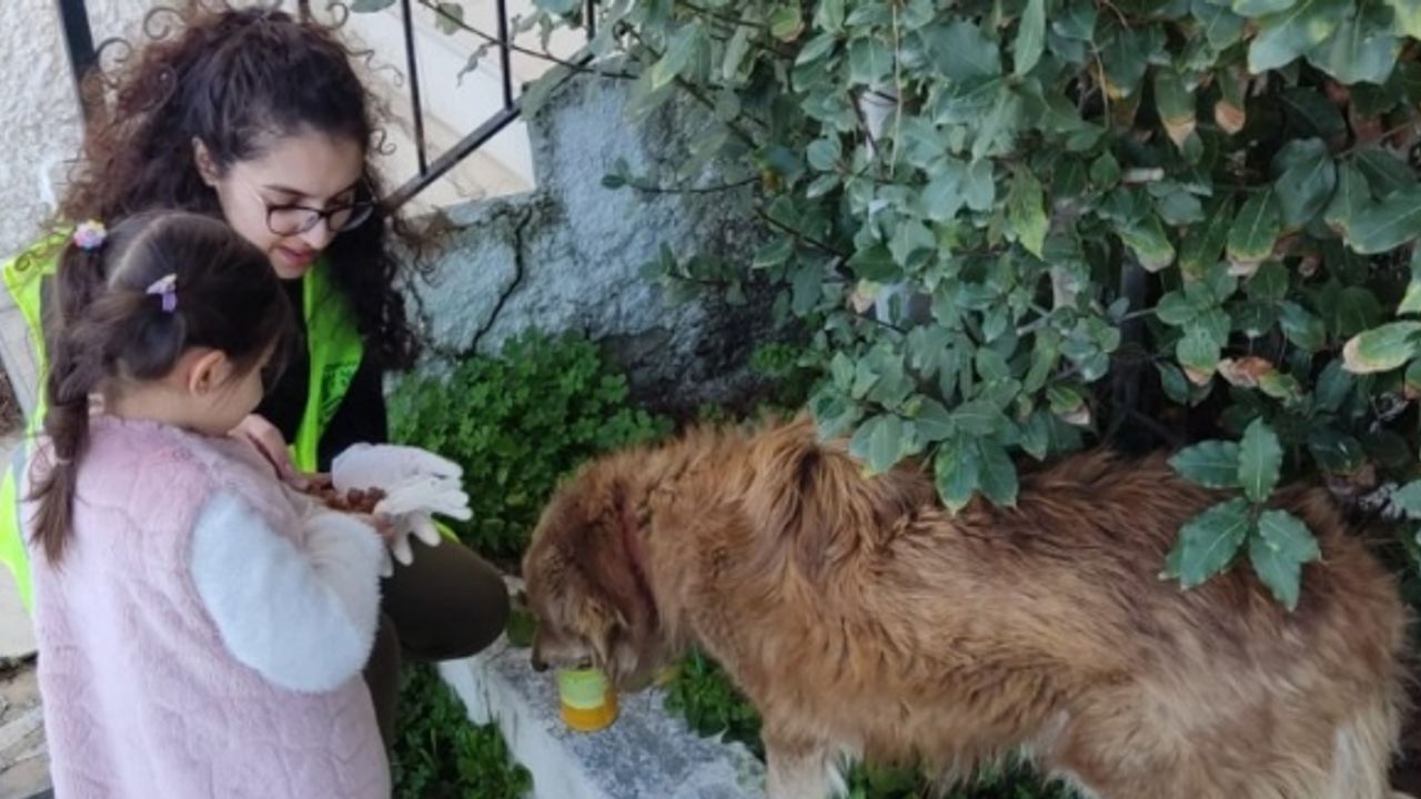 14 yaşındaki depremzede Ege'nin hayvanseverliği takdir topladı