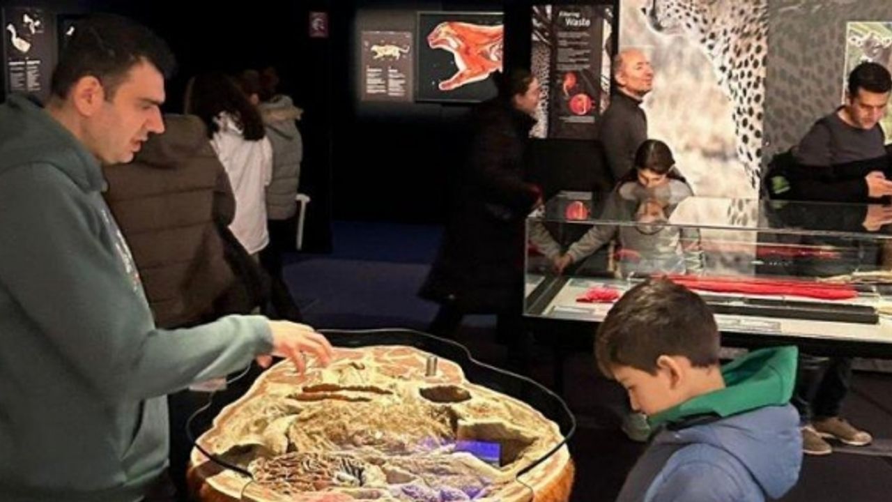 İstanbul'da 'anatomi sergisi'ne yoğun ilgi