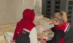 Bayrampaşa'da dev gıda denetimi... 35 ton peynire el kondu!