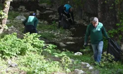 Çaybaşı Deresi’nde temizlik ve ağaçlandırma