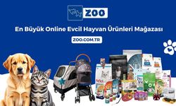 Evcil Hayvanlar İçin Her Şey ZOO Petshop’ta