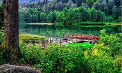 Karadeniz’in Saklı Cenneti: Rize’de Günübirlik Turların Büyüsü