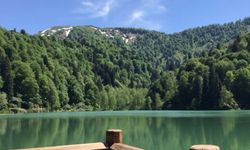 Doğu Karadeniz’in Kalbinde Unutulmaz Bir Rize Yolculuğu