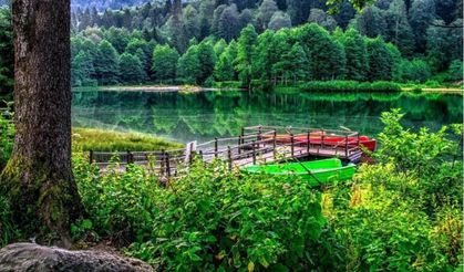 Karadeniz’in Saklı Cenneti: Rize’de Günübirlik Turların Büyüsü