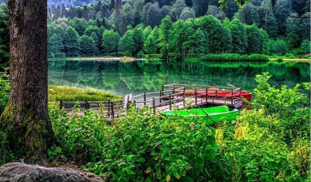 Karadeniz’in Saklı Cenneti: Rize’de Günübirlik Turların Büyüsü