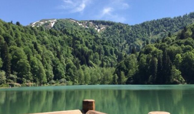 Doğu Karadeniz’in Kalbinde Unutulmaz Bir Rize Yolculuğu